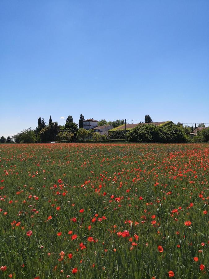 Agriturismo Corte Spino Villa Nogarole Rocca Dış mekan fotoğraf