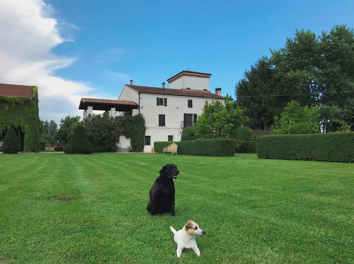 Agriturismo Corte Spino Villa Nogarole Rocca Dış mekan fotoğraf